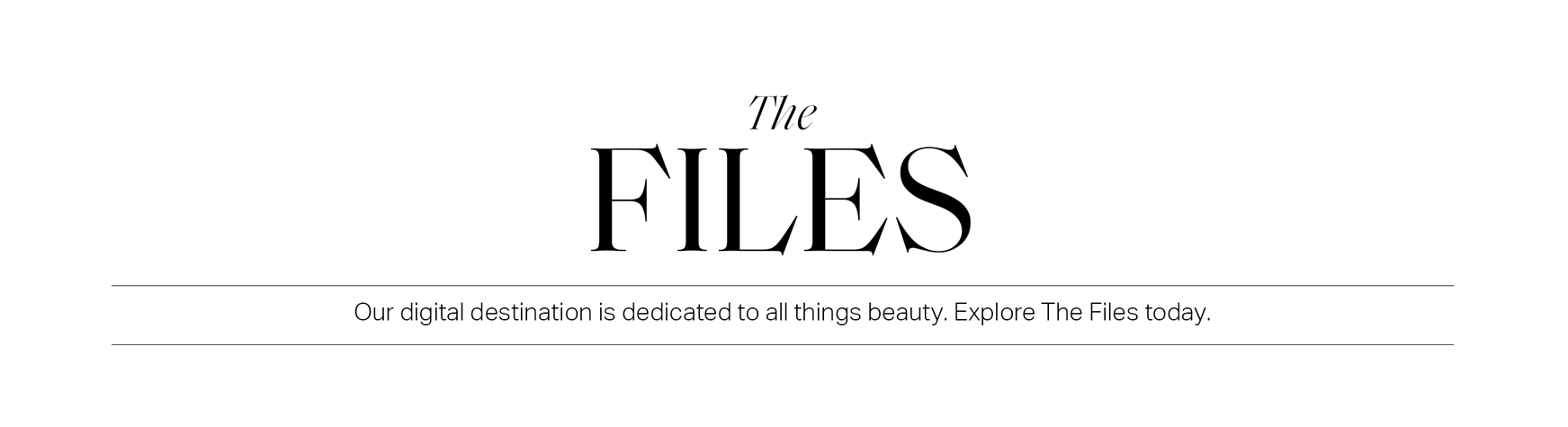 the-files-bsc-title-4